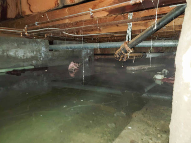 Best Local water damage restoration  in Mcloud, OK
