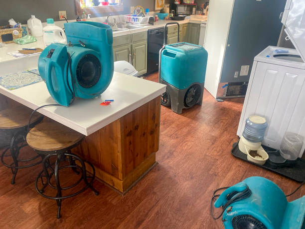 Best Mold removal after water damage  in Mcloud, OK