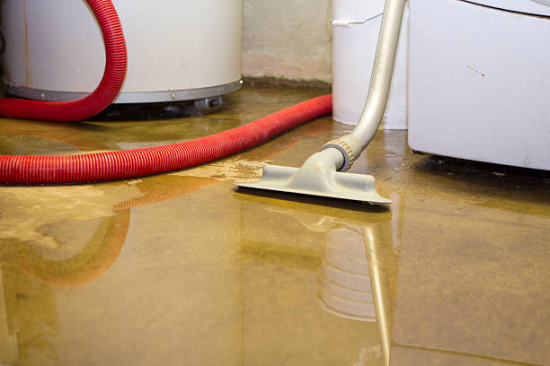 Best Flooded house restoration  in Mcloud, OK