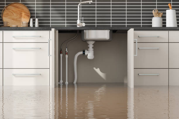 Best Water damage restoration process  in Mcloud, OK